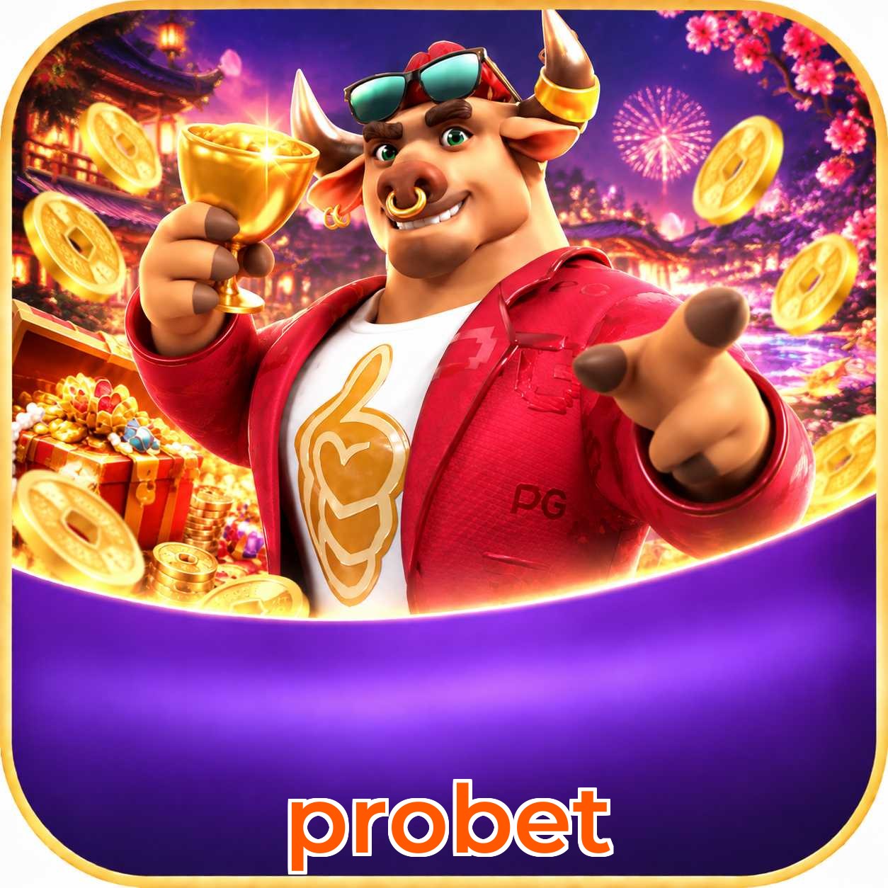 probet KYC Verification